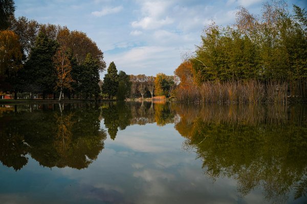 Les dix meilleurs tests de grossesse en 2022